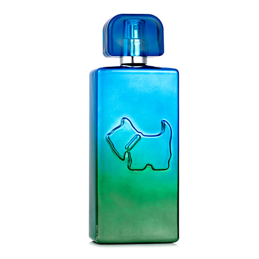 FERRIONI ELECTRIC VIBES EDT 100ML