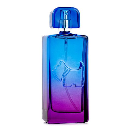 FERRIONI SUNSET VIBES BOMBAY EDT 100ML
