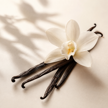 ¿Por qué la vainilla está tan de moda en los perfumes?