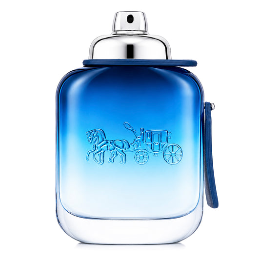 BLUE EDT 100ML
