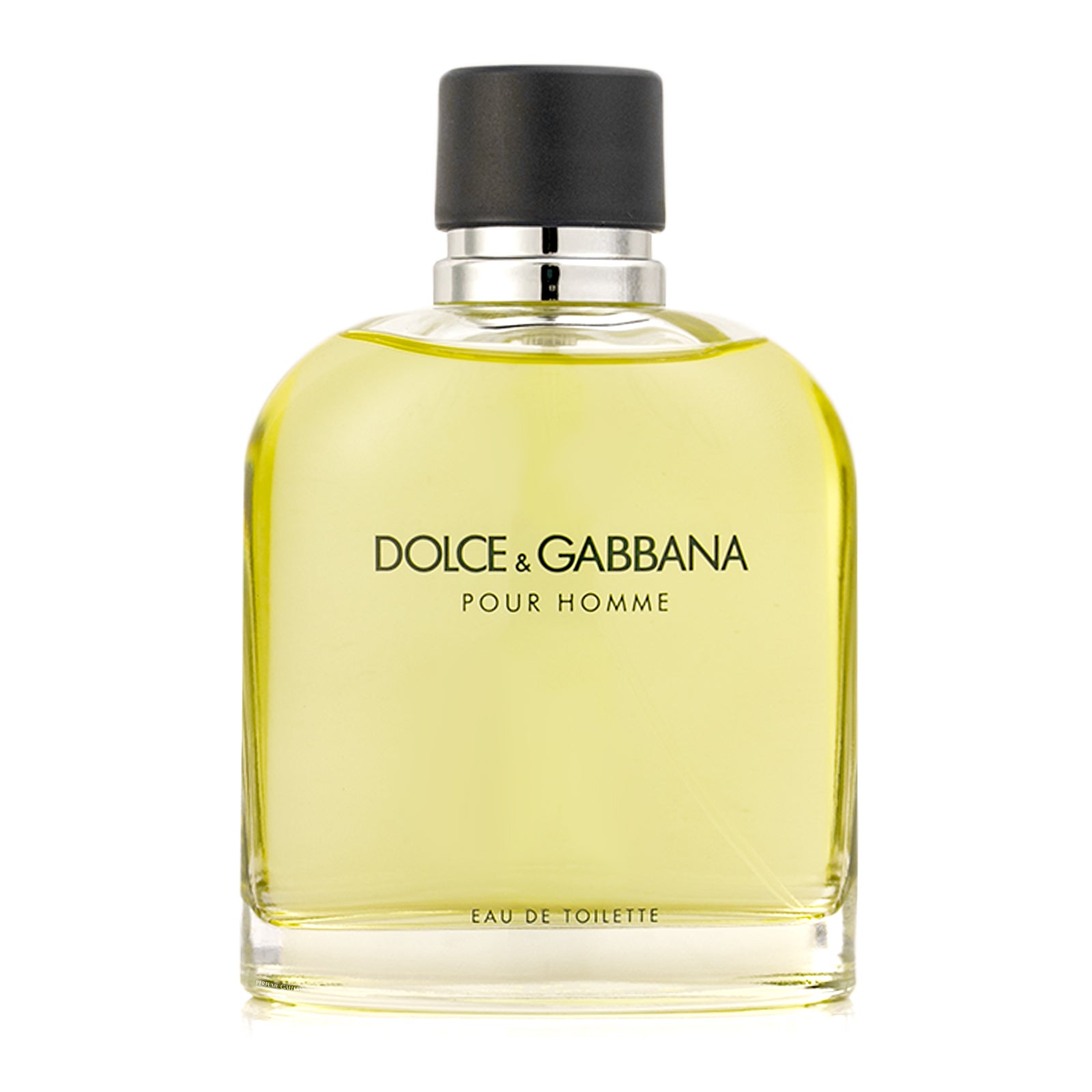 Dolce gabbana discount pour homme notas