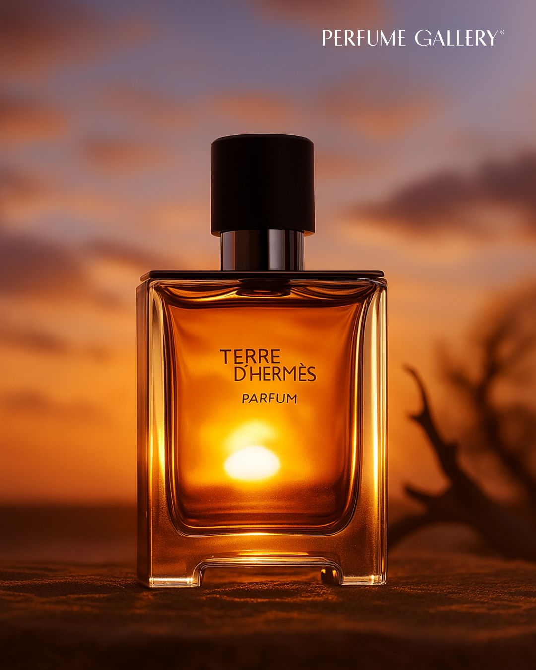 TERRE D HERMES PARFUM 200 ML DE HERMES – Perfume Gallery
